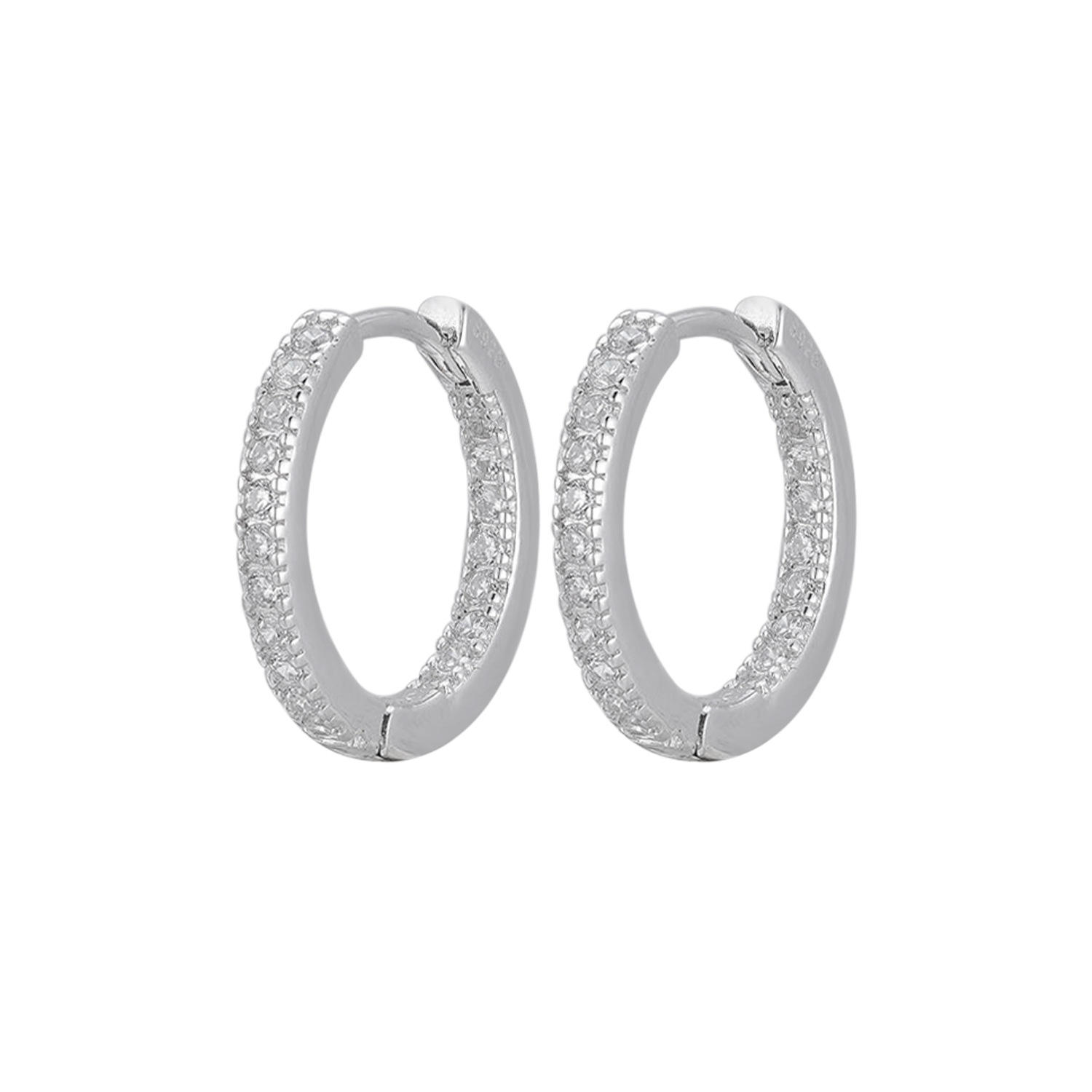 Inner circle drilled earrings