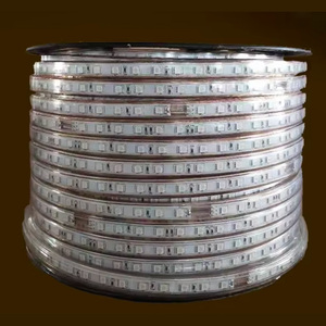 IP65 Wasserdichte RGB-LED-Licht leiste 5050 16 Farben 220V/110V Fernbedienung für Lager-RGB-Seil beleuchtung - Product Image 3