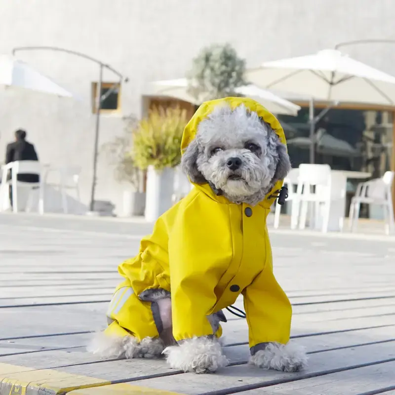 מעיל גשם כלבים פופולרי עם מכסה מכסה המנוע עמיד למים ג 'קט רעם ברדס פונצ' ו רסים לכלב