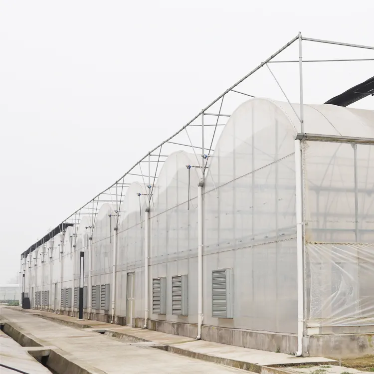 Serre commerciale GT tomate, kit agricole cadre film plastique, serre multi-envergure à vendre