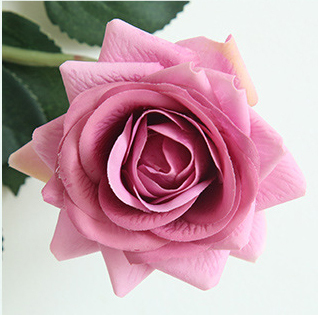 rosa intenso