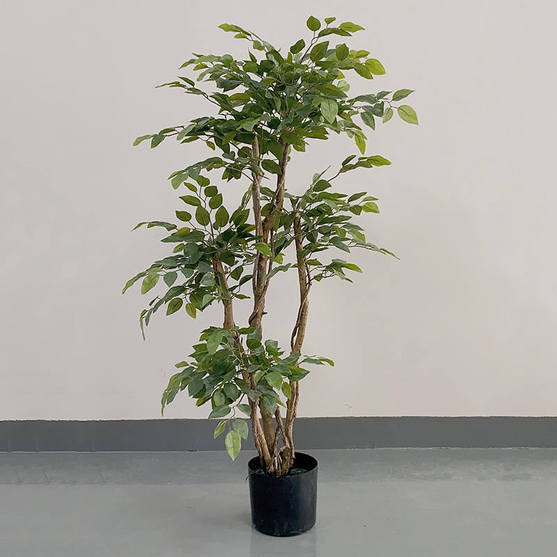 Banyan à 3 pôles (feuilles de film)-120cm