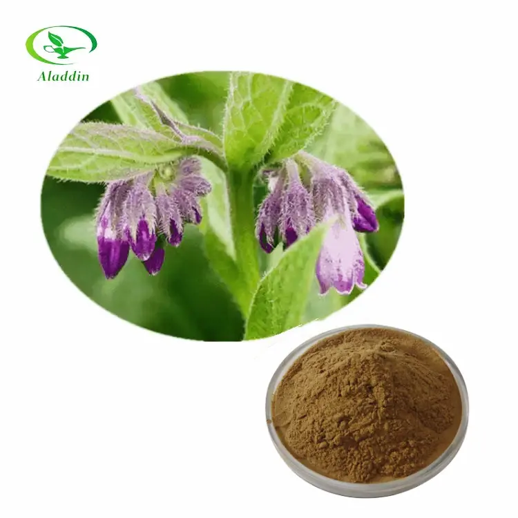 Estratto di fornitura di fabbrica per pelle e capelli comfrey symphhytum officinale estratto in polvere di alta qualità con il miglior prezzo