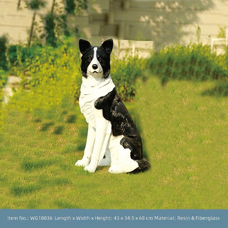 Sitting collie black