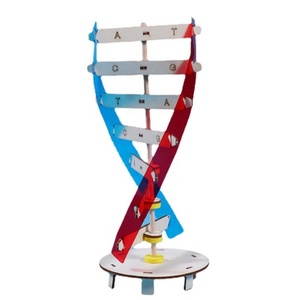 Montessori blok öğrenme kaynak DNA yapısı yapboz oyuncak duyusal istifleme insan gen modeli montaj bilim oyuncak - Product Image 2