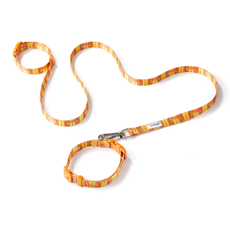 Collar+Leash (California Sunshine)