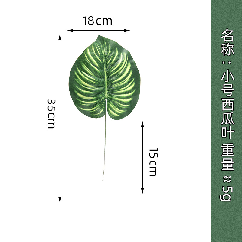 Small size watermelon leaf