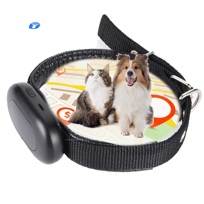 Hoge Kwaliteit Redelijke Prijs Gps Tracker Kraag Huisdier Tracking Voor Kat Hond Gps Locator 4G Module V41 Voice Callable 4G + 2G