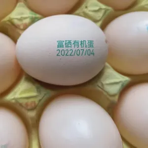 Industrielles Verfalls datum Drucker eier Codier maschine Desktop Eier codierer Datums stempel maschine Chargen nummer Codier maschine Großhandel