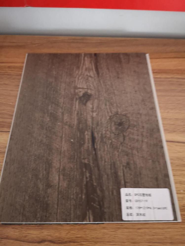 Dark Wood 4