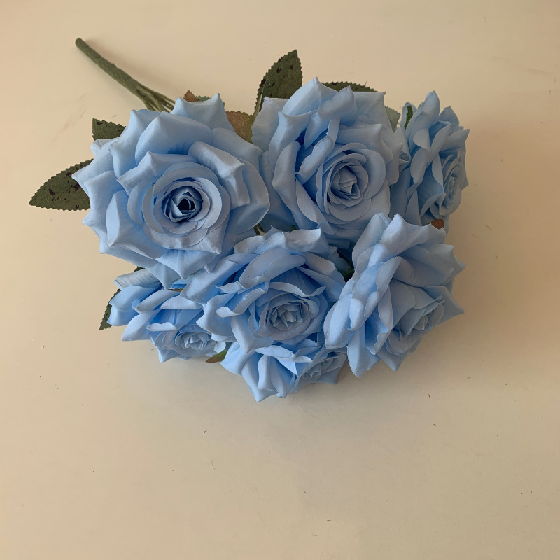 Bleu clair