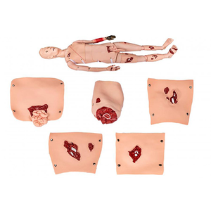 Medical Teaching Trauma <strong>Human</strong> Model Medical Simulator Teaching <strong>Human</strong> Model - Product Image 3