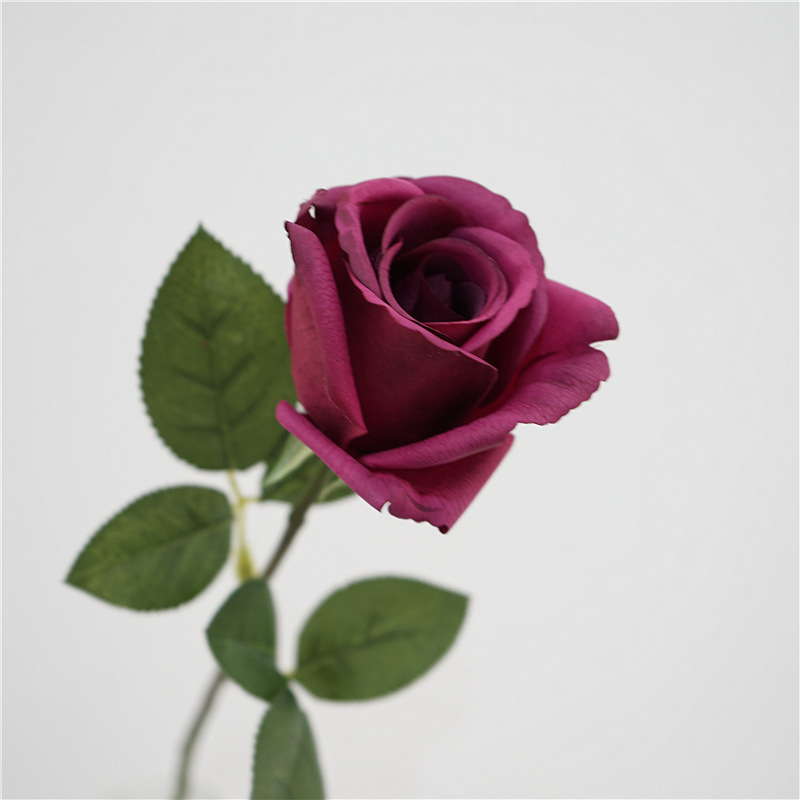 Single sprig kate rose-fuchsia