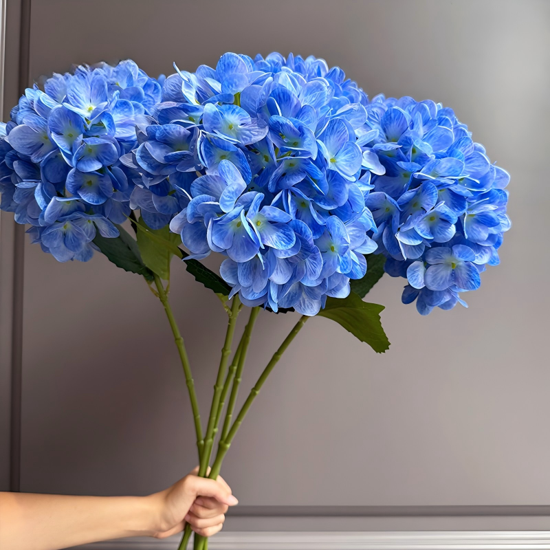 Bleu clair