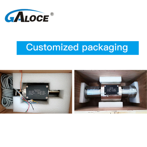 GTS200 GALOCE Dynamic Force <strong>Sensor</strong> Rotary Torque Transducer 5-100Nm - Product Image 5