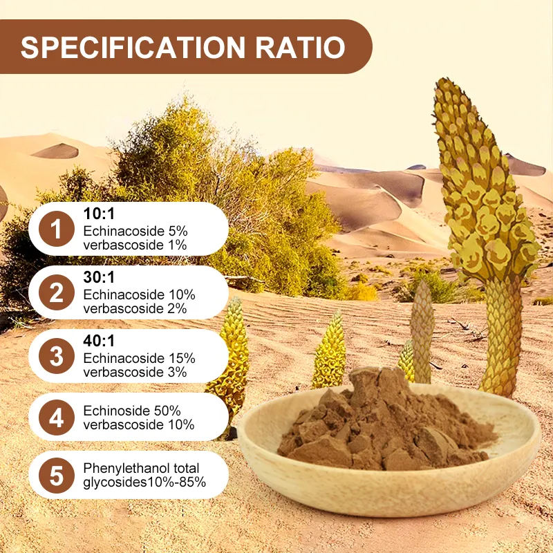 مستخلص عشبي سيستانش توبولوزا, مستخلص عشبي سيستانش توبولوزا مسحوق مستخلص Echinacoside 15% Verbacoside 3%