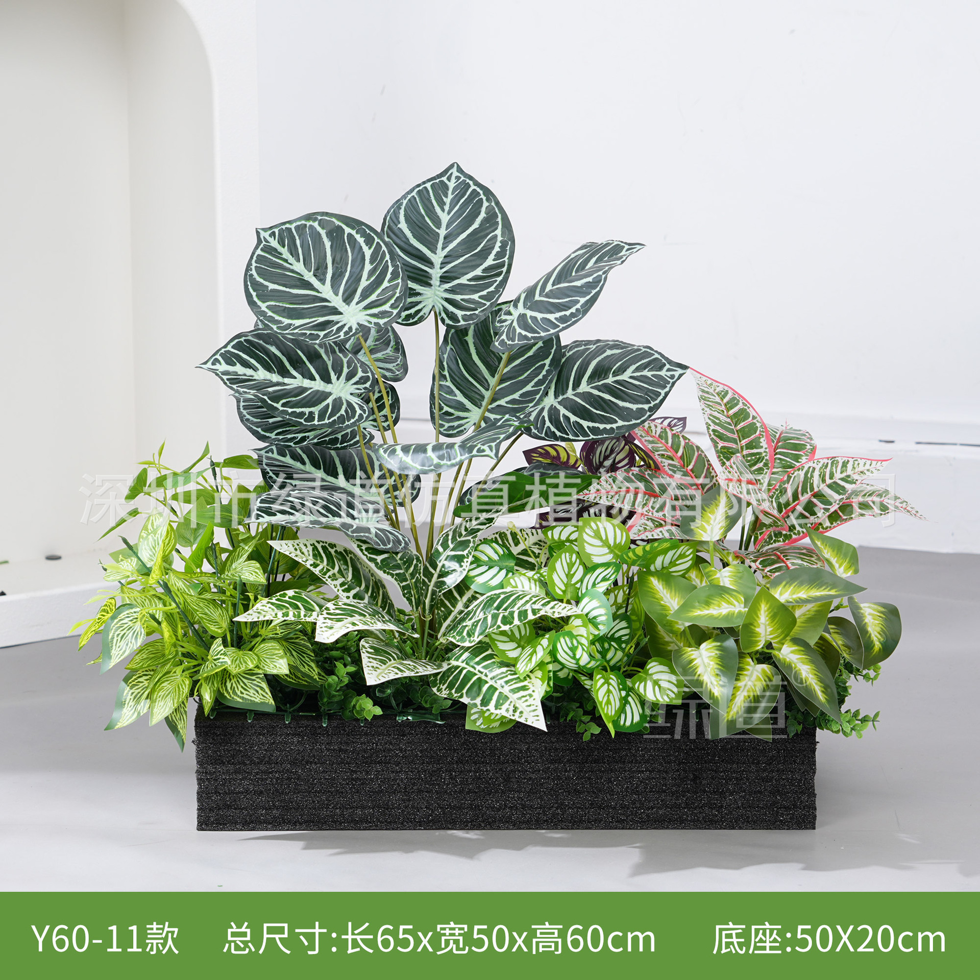 hc-Y60-11 convient aux jardinières de 60 cm