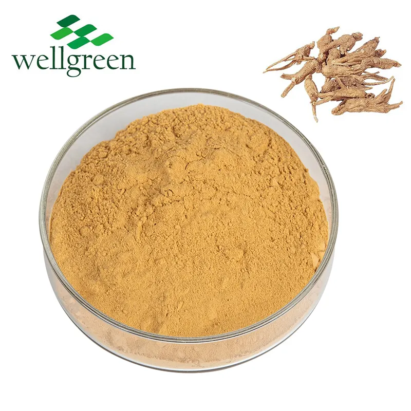 Chinese Angelica Herb 10:1 Extract Powder Ligustilide Angelica Sinensis Root Angelica Extract