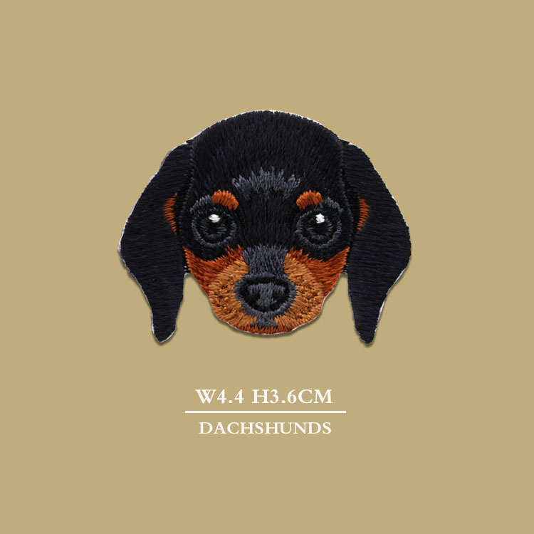 dachshund