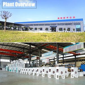 Mgcz46x20x2 Gravity <strong>Paddy</strong> <strong>Separator</strong> 10 Tph Double Body <strong>Paddy</strong> <strong>Separator</strong> for Rice Milling