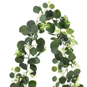 Fruta linterna verde 52