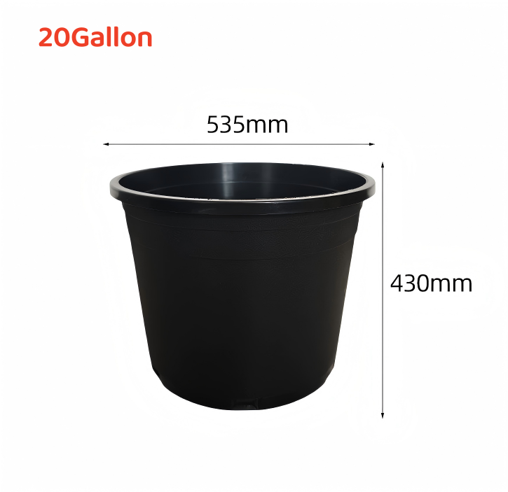 20gallon