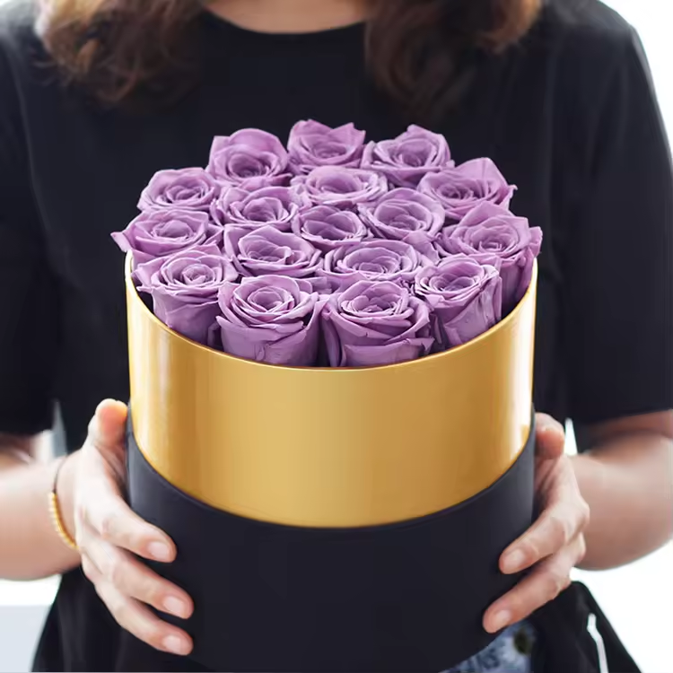 Viola