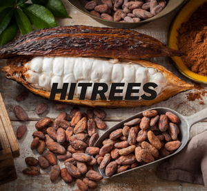 Máquina de corte de vainas de cacao de alta calidad, equipo de procesamiento de descascarado de granos de cacao, máquina de procesamiento de descascarado de granos de cacao - Product Image 6