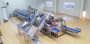 <strong>Cutter</strong> Automatic Sweet Potato Taro Peeling and Cleaning Machine with Lifting Equipment - Product Image 4