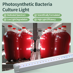 <span class=keywords><strong>Led</strong></span> Fotosynthese Bacteriën Cultuur Lamp Aquacultuur Moeras Rood Pseudomonas Cultuur Licht - Product Image 2
