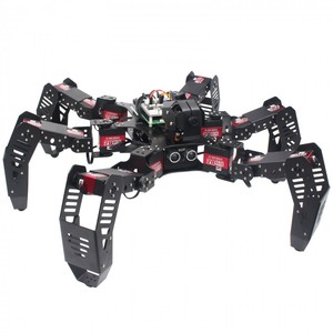 18DOF esapod Robot ragno Robot 2DOF PTZ con scheda principale per lampone Pi 4B/2G finito