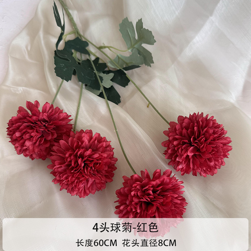 chrysanthème à 4 têtes