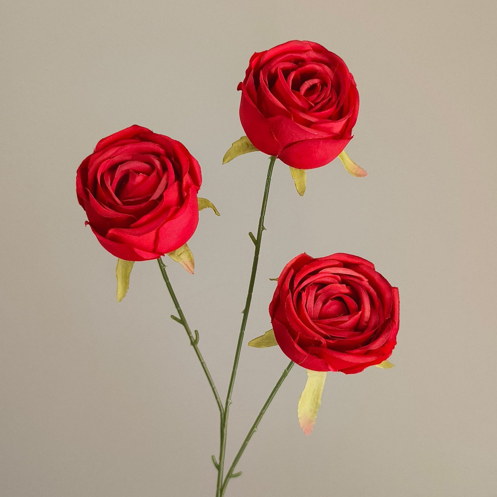 Consort impérial rose-rouge-66 cm