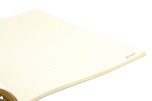 Delijia-Cuaderno para hacer ejercicio en la escuela, libreta de tamaño A4, A5, A6, B5, cubierta de PP impresa, 14x21CM, papelería, 34 hojas, uso para estudiantes - Product Image 4