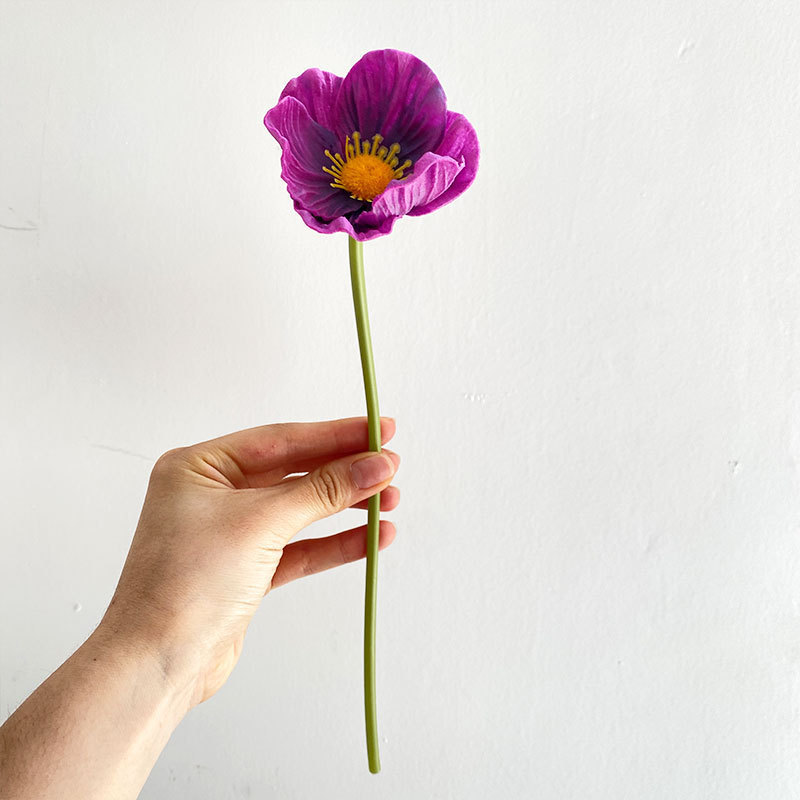 Pourpre