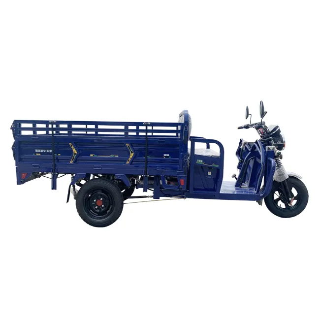 Forte capacità di carico tricicli elettrici a tre ruote triciclo elettrico triciclo motorizzato per Cargo cina