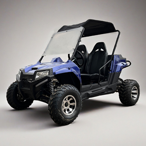 <strong>300cc</strong> <strong>UTV</strong> Side by Side Automatic with Reverse - Product Image 1