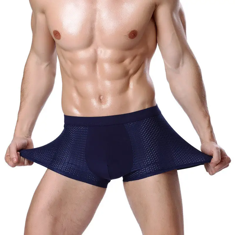 Groothandel L-4XL Calzoncillo Hombre Polyester Mesh Underpants Heren Ondergoed Boxer Shorts