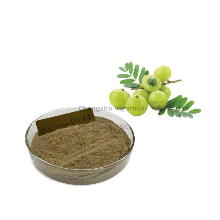 Pure Natural Phyllanthus Emblica Amla Fruit Indian Gooseberry Extract Powder Triphala