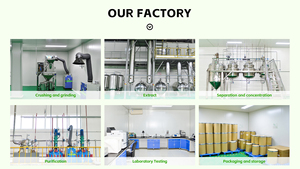 Tedarik azgın keçi ot özü epimedium özü doğal bitki epimedium özü 10icariin epimedium tozu - Product Image 5