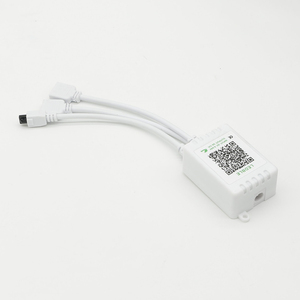 Luce LED telecomando 2 porte RGB scatola di controllo 24 tasti IR blu dente LED telecomando per RGB 5050 3528 luci di striscia LED