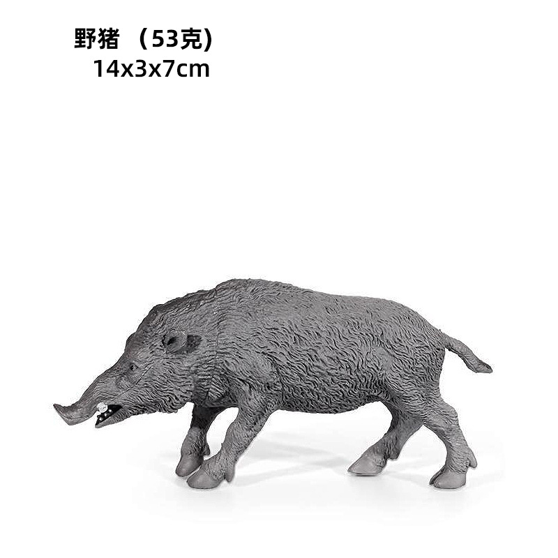 Cerdo salvaje