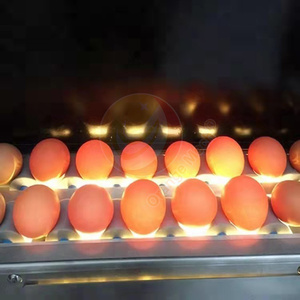 Máquina clasificadora automática de huevos de pato de alta eficiencia/Clasificador de clasificación de huevos de 10000 piezas por hora/máquina clasificadora electrónica de huevos - Product Image 4
