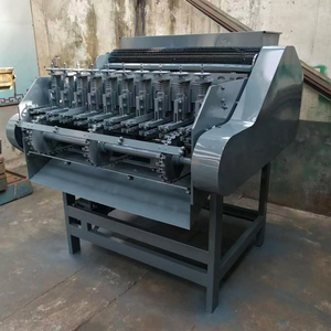 Máquina peladora y descascarilladora de granos de cacao de Venta caliente, máquina clasificadora y descascaradora de nueces de alta potencia completamente automática - Product Image 4