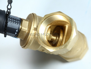 Trung Quốc Nhà Sản Xuất Hướng Dẫn Sử Dụng Brass Nước Tĩnh Cân Bằng Van Để Bán - Product Image 3