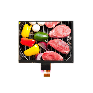 Panel de pantalla LCD IPS LVDS de 8 pulgadas Módulos LCD de resolución Lvds cuadrados 1024x768 - Product Image 2