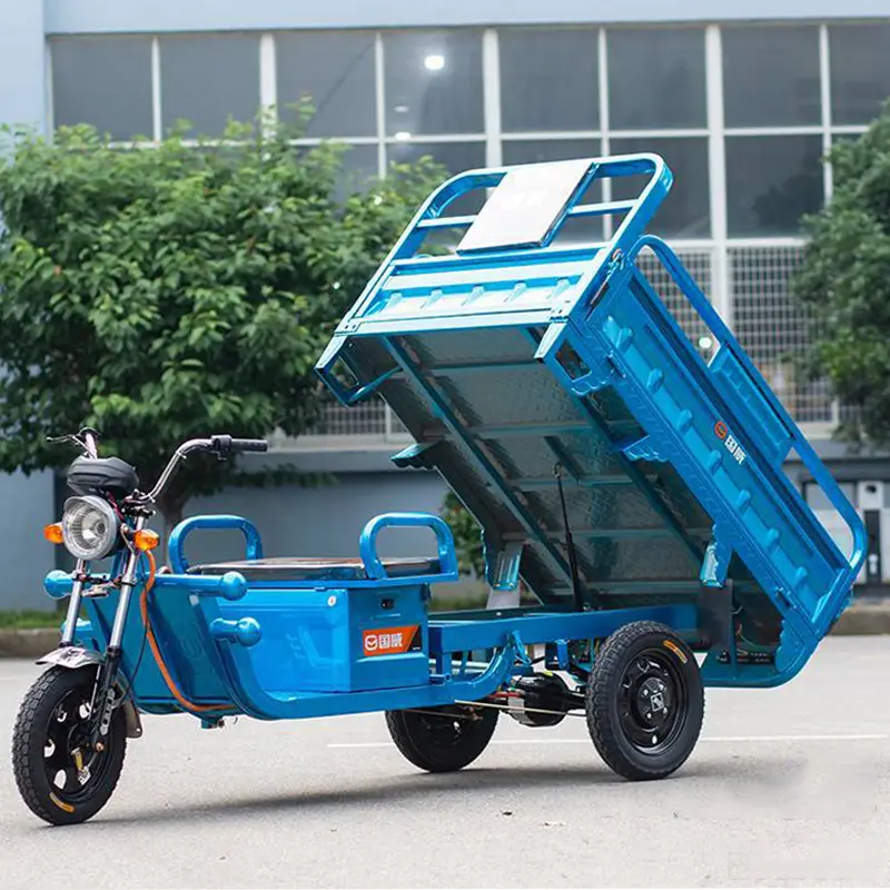 Прямая поставка с завода, Электрический грузовой трехколесный велосипед с ручным пропуском автомобиля для взрослых