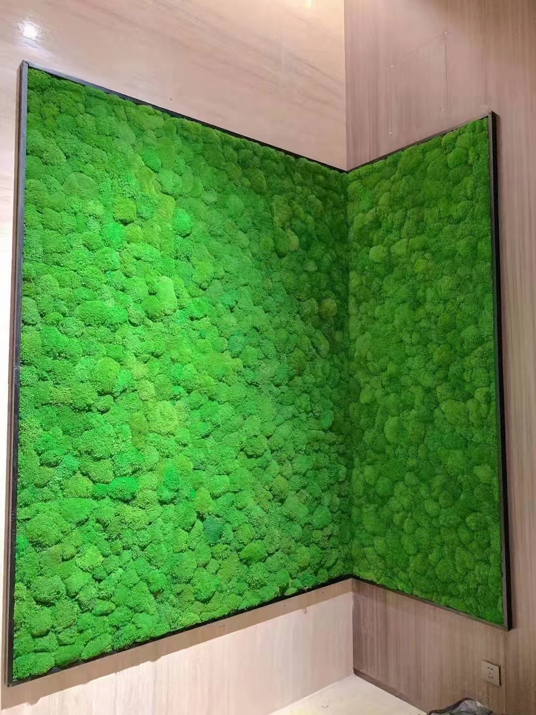 Mousse stabilisée panel2