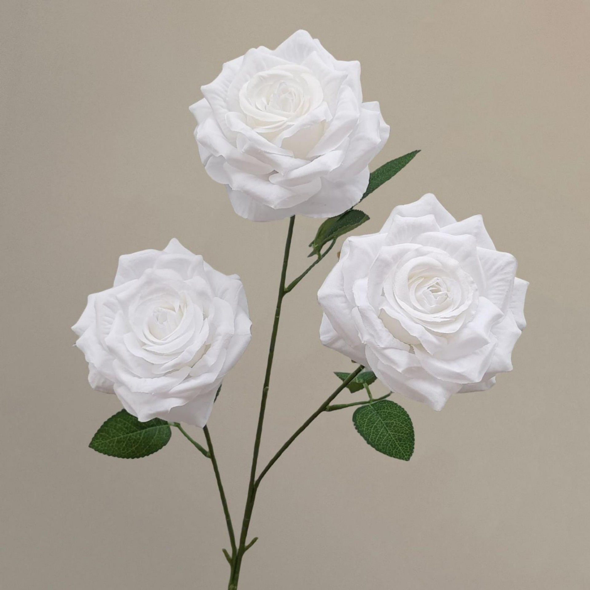 กุหลาบเพชรใหม่ - สีขาว - 66 ซม.