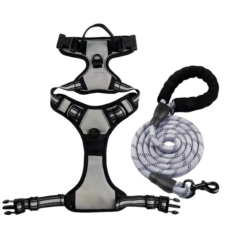 Silver gray-chest harness + leash